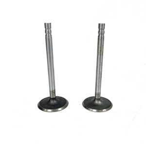 trw-v-1926-3-intake-valve-2-pack-oem-brandon-y-20240713-102139-899434