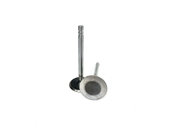 trw-v-1926-3-intake-valve-2-pack-oem-brandon-y-20240713-102142-955494