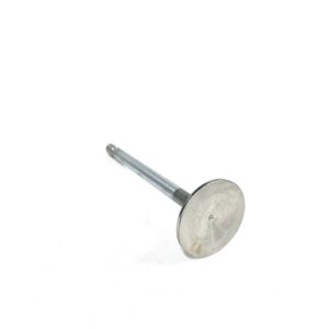 trw-v-2423r-exhaust-valve-oem-brandon-y-20240713-111937-664460