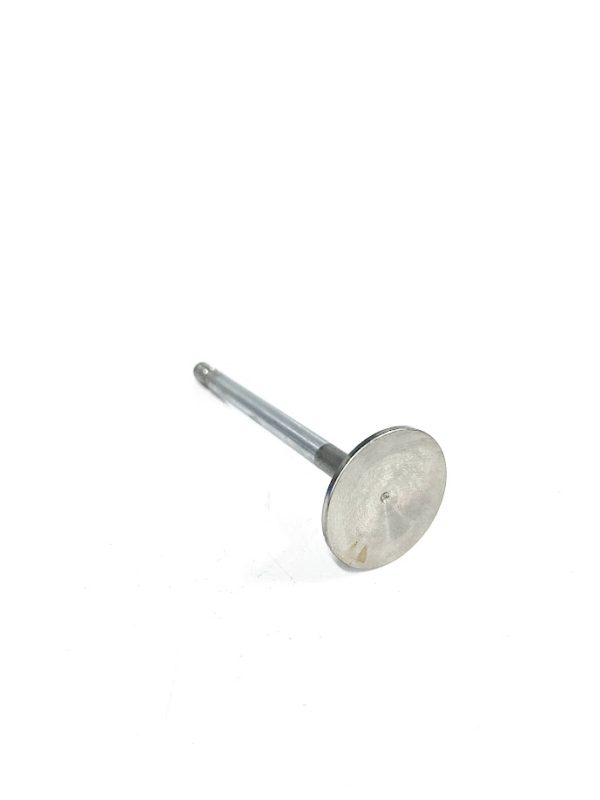 trw-v-2423r-exhaust-valve-oem-brandon-y-20240713-111937-664460