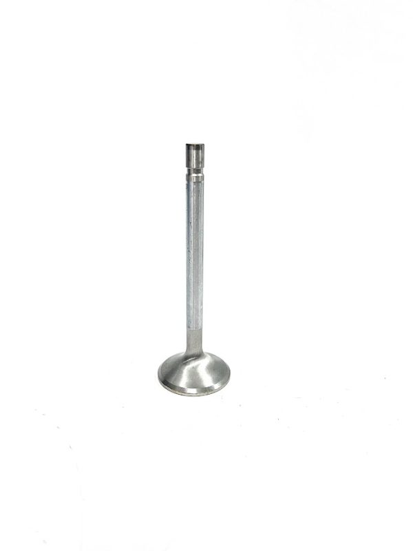 trw-v-2423r-exhaust-valve-oem-brandon-y-20240713-111940-829218
