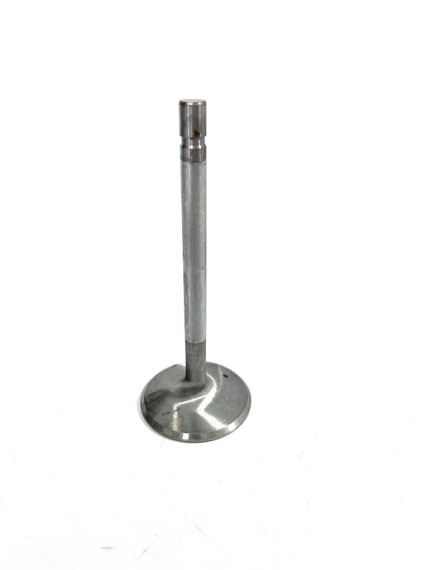 trw-v3126x-exhaust-valve-oem-brandon-y-20240713-103840-319619