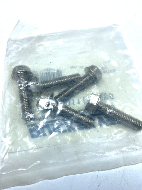 new-quicksilver-10-40011151-screw-set-of-5-oem-felix-ommo33069-20240830-131806-369181