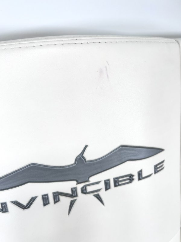 invincible-36-catamaran-forward-center-console-back-rest-46-5-x-24-5-felix-ommo33069-20241028-112203-996980