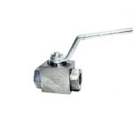 stauff-bbv-2-n12-8001-m-block-body-ball-valve-high-pressure-3-4in-npt-brandon-y-20241021-164151-649045