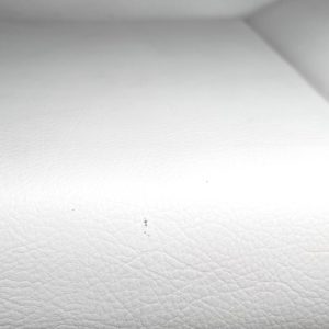 invincible-boats-backrest-cushion-54in-x-13-1-2in-plain-oem-brandon-y-20241101-141907-656844