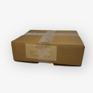 brandon-y-20241226-093828-387605