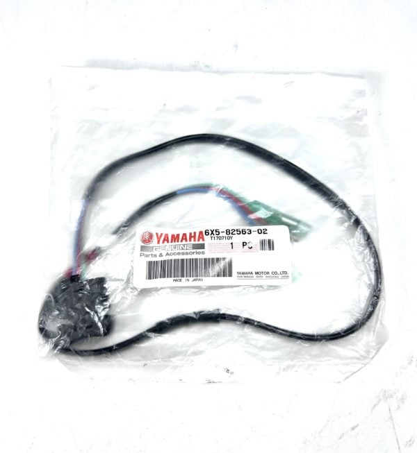 felix-ommo33069-20241209-131011-935597