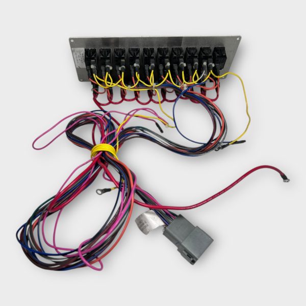 bh-electronics-220-04940-p-proline-express-23-boat-switch-panel-10-button-felix-ommo33069-20250113-103842-519076