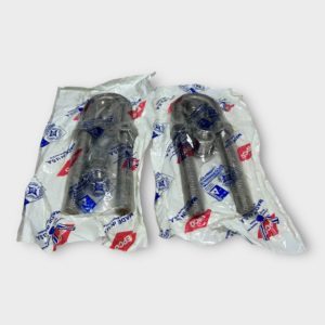 felix-ommo33069-20250109-152916-97747