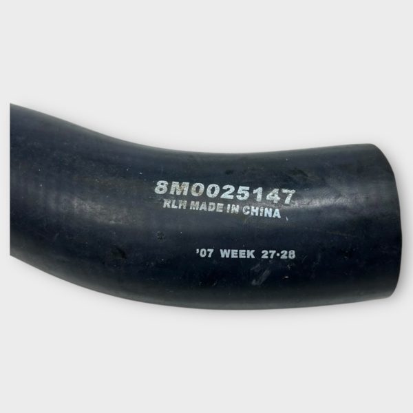 felix-ommo33069-20250116-102556-919524