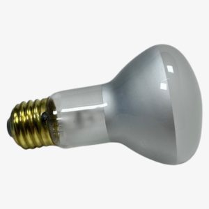 felix-ommo33069-20250220-154008-299645