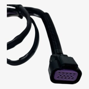 felix-ommo33069-20250225-112624-17939