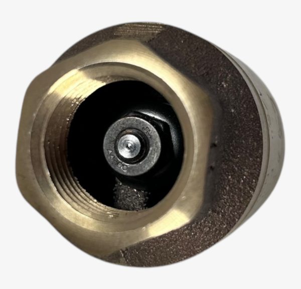 strataflo-400-psi-1-2-check-valve-with-metal-poppet-felix-ommo33069-20250204-100546-812113