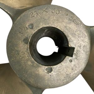 todd-h33069-20250218-160531-983918