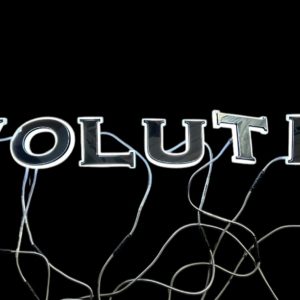 yachtsign-lettering-distribution-box-evolution-custom-24vdc-lights-work-brandon-y-20250219-143439-220665