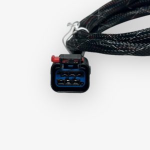 brandon-y-20250307-142737-808942