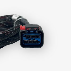 brandon-y-20250307-142742-399821