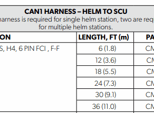 brandon-y-20250307-142759-703929