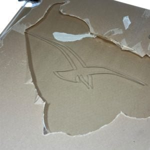 boat-acrylic-clear-transom-door-17-3-4in-x-20-5-8in-w-pro-line-logo-brandon-y-20250513-140837-859927