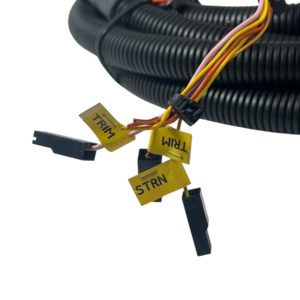 fnm-diesel-1-010-077-1-harness-extension-canbus-4mt-prolunga-quadro-new-oem-brandon-y-20250702-105148-976817