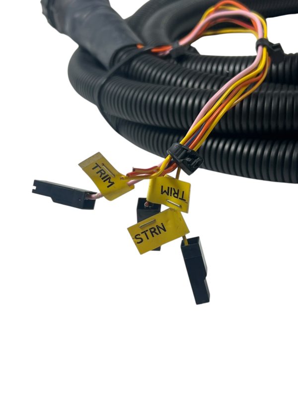 fnm-diesel-1-010-077-1-harness-extension-canbus-4mt-prolunga-quadro-new-oem-brandon-y-20250702-105148-976817