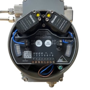 bray-s41-butterfly-valve-4-w-actuator-solenoid-axium-an97-valve-controller-rubby-pueyo-20260619-093636-796619