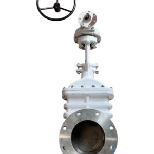 brooksbank-wedge-fb-gate-valve-8in-flgd-class-150-w-gearbox-ansi-b16-5-ff-brandon-y-20260624-113932-983989