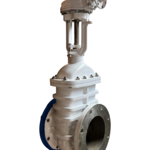 brooksbank-wedge-fb-gate-valve-8in-flgd-class-150-w-gearbox-ansi-b16-5-ff-brandon-y-20260624-113934-809590
