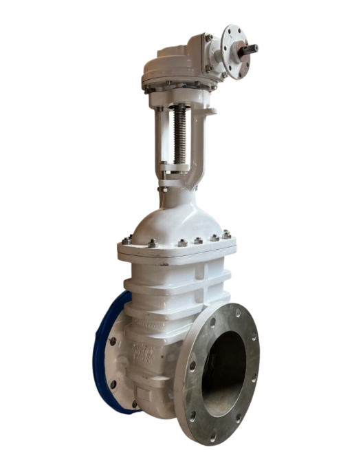 brooksbank-wedge-fb-gate-valve-8in-flgd-class-150-w-gearbox-ansi-b16-5-ff-brandon-y-20260624-113934-809590