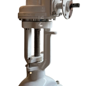 brooksbank-wedge-fb-gate-valve-8in-flgd-class-150-w-gearbox-ansi-b16-5-ff-brandon-y-20260624-113936-756177