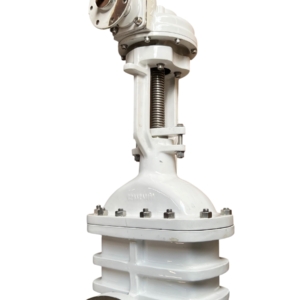 brooksbank-wedge-fb-gate-valve-8in-flgd-class-150-w-gearbox-ansi-b16-5-ff-brandon-y-20260624-113945-881810
