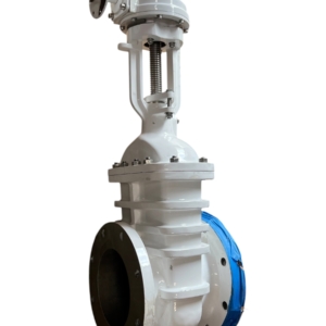 brooksbank-wedge-fb-gate-valve-8in-flgd-class-150-w-gearbox-ansi-b16-5-ff-brandon-y-20260624-113951-198755