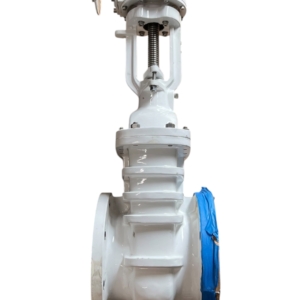 brooksbank-wedge-fb-gate-valve-8in-flgd-class-150-w-gearbox-ansi-b16-5-ff-brandon-y-20260624-113952-967181