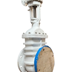 brooksbank-wedge-fb-gate-valve-8in-flgd-class-150-w-gearbox-ansi-b16-5-ff-brandon-y-20260624-113954-751906