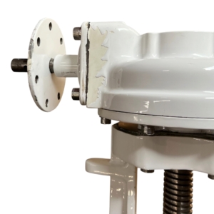 brooksbank-wedge-fb-gate-valve-8in-flgd-class-150-w-gearbox-ansi-b16-5-ff-brandon-y-20260624-114000-102861