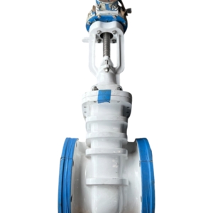 brooksbank-wedge-fb-gate-valve-8in-flgd-class-150-w-gearbox-ansi-b16-5-ff-brandon-y-20260624-114009-69278