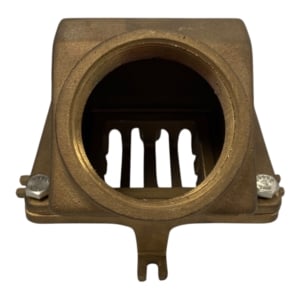 edson-foot-valve-bronze-1-1-2-w-strainer-fnpt-130v-150-missing-seal-new-oem-rubby-pueyo-20260625-145021-566939