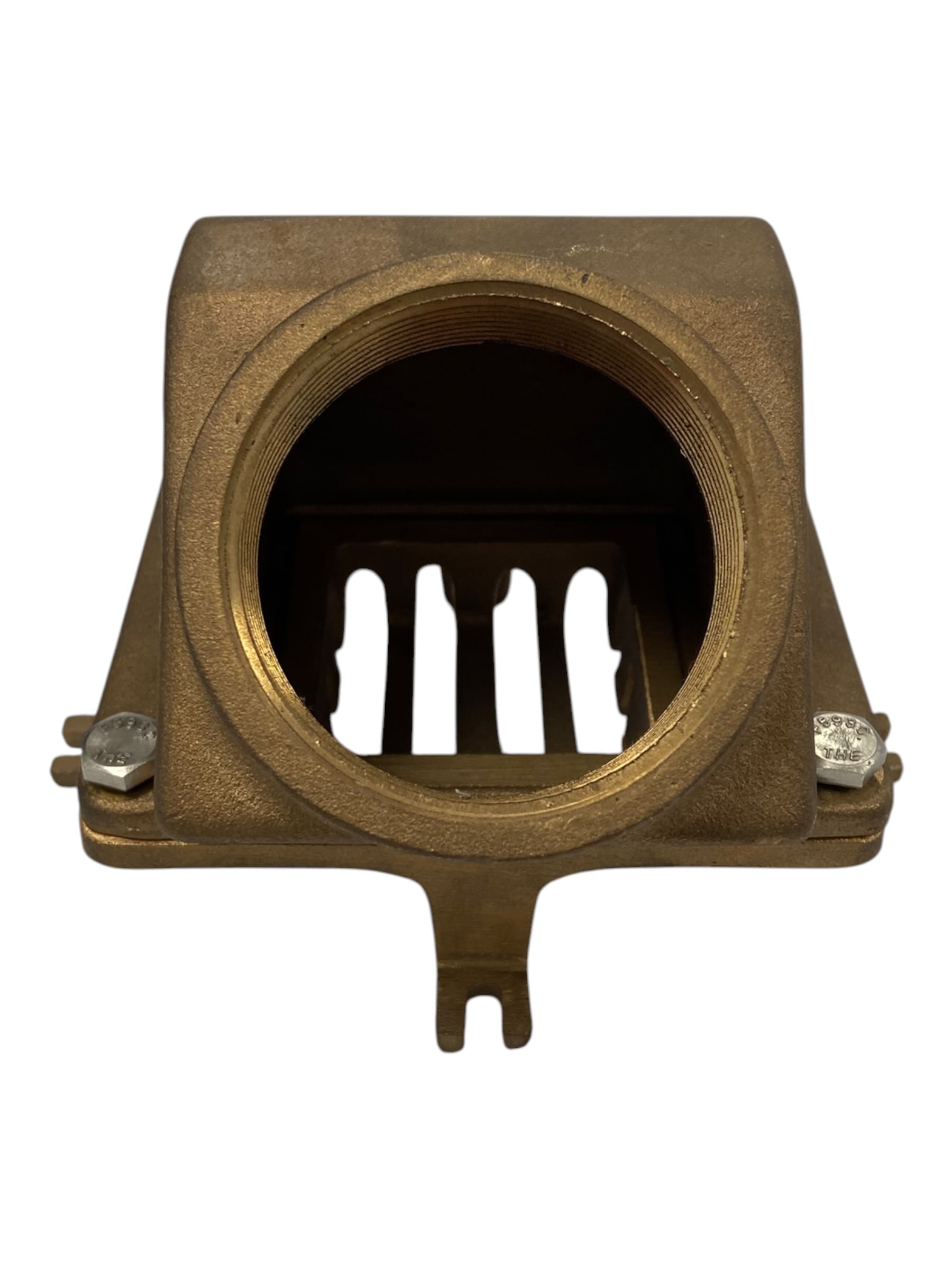 edson-foot-valve-bronze-1-1-2-w-strainer-fnpt-130v-150-missing-seal-new-oem-rubby-pueyo-20260625-145021-566939