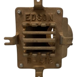 edson-foot-valve-bronze-1-1-2-w-strainer-fnpt-130v-150-missing-seal-new-oem-rubby-pueyo-20260625-145026-73583