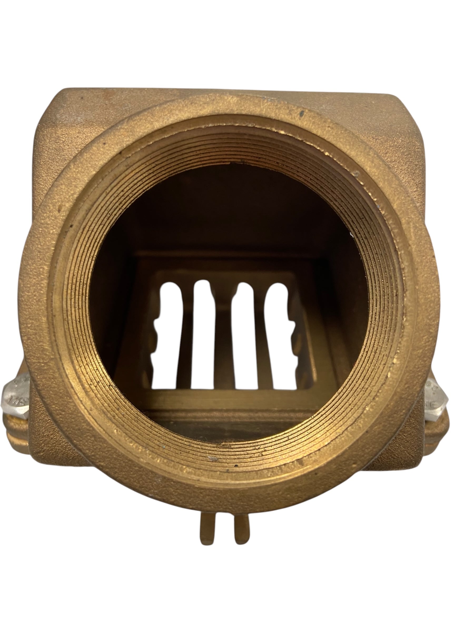 edson-foot-valve-bronze-1-1-2-w-strainer-fnpt-130v-150-missing-seal-new-oem-rubby-pueyo-20260625-145028-397197