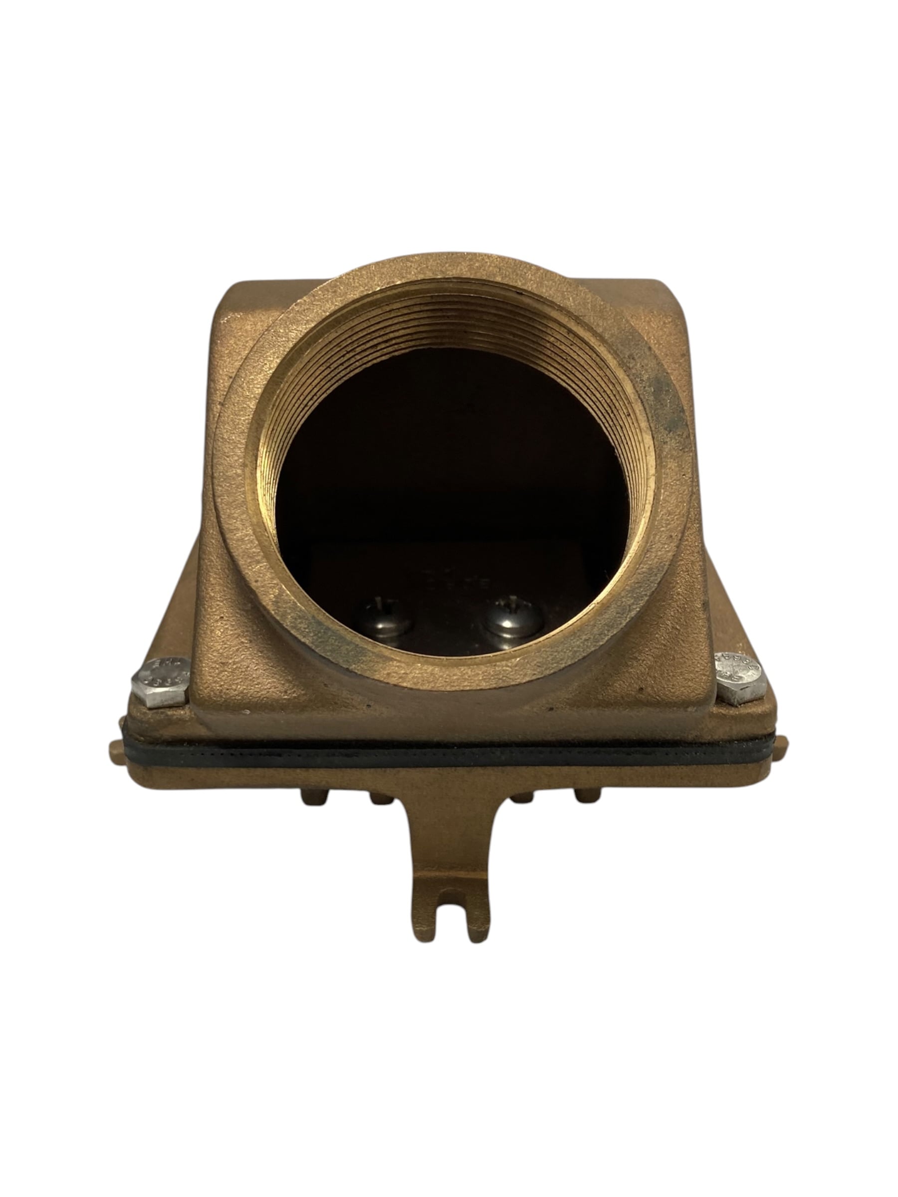 edson-foot-valve-bronze-1-1-2-w-strainer-viton-check-fnpt-130v-150-new-oem-rubby-pueyo-20260625-115642-893655