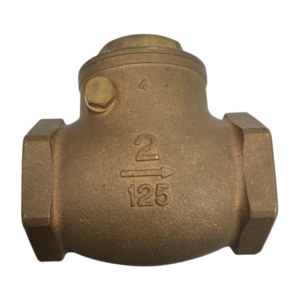 kitz-2-swing-check-valve-125-psi-wog-bronze-threaded-female-npt-new-oem-rubby-pueyo-20260629-165758-687376