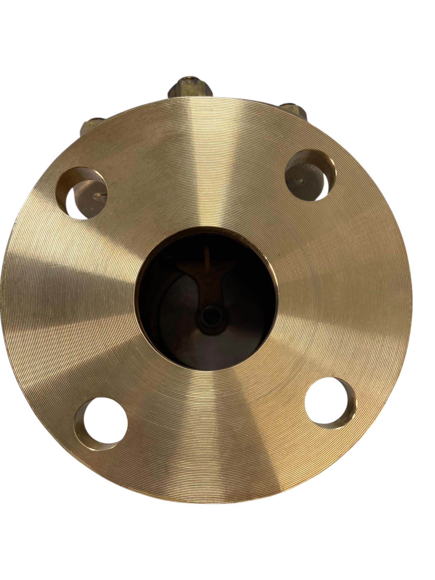 milwaukee-swing-check-valve-2-150-wsp-1291n-200-flanged-to-ansi-b16-24-new-rubby-pueyo-20260626-121002-296825