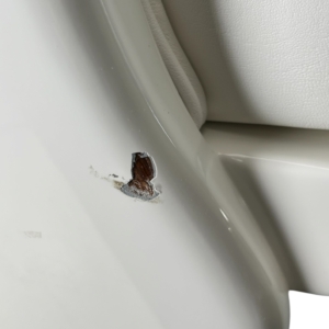 murray-products-white-ladderback-helm-chair-w-white-cushions-minor-damage-felix-ommo33069-20260616-111233-660904