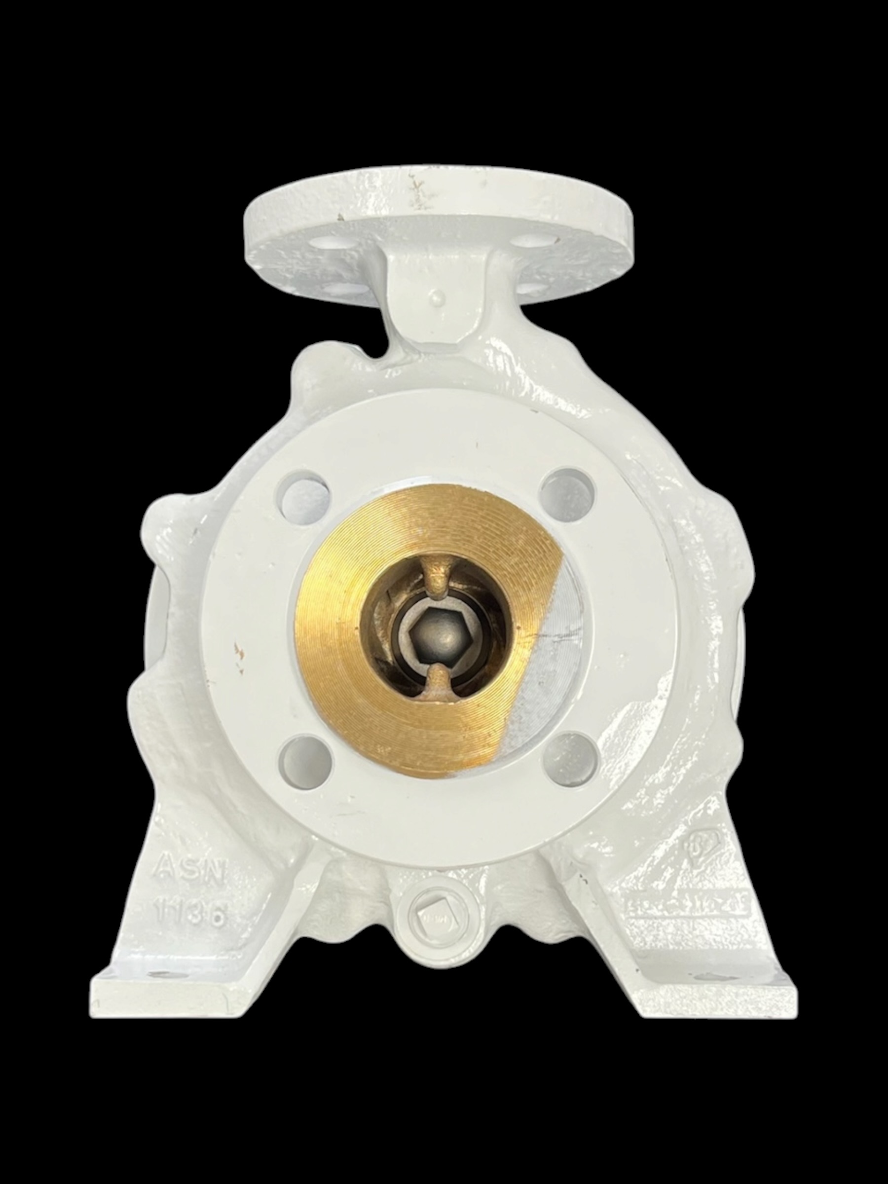 spx-flow-combibloc-32a-160-centrifugal-pump-50hz-55kw-60hz-63kw-new-oem-brandon-y-20260601-111058-962261