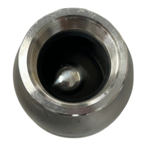 wager-1702-150-lbs-galvanized-steel-inverted-vented-check-valve-w-steel-ball-felix-ommo33069-20260623-114055-679430