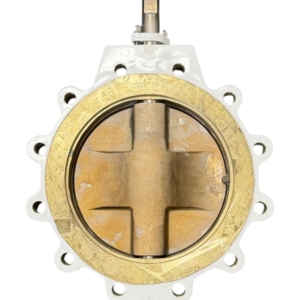 bray-series-41-mccannalok-high-perf-butterfly-valve-10-dn-250-asme-class-150-brandon-y-20260722-140353-97906