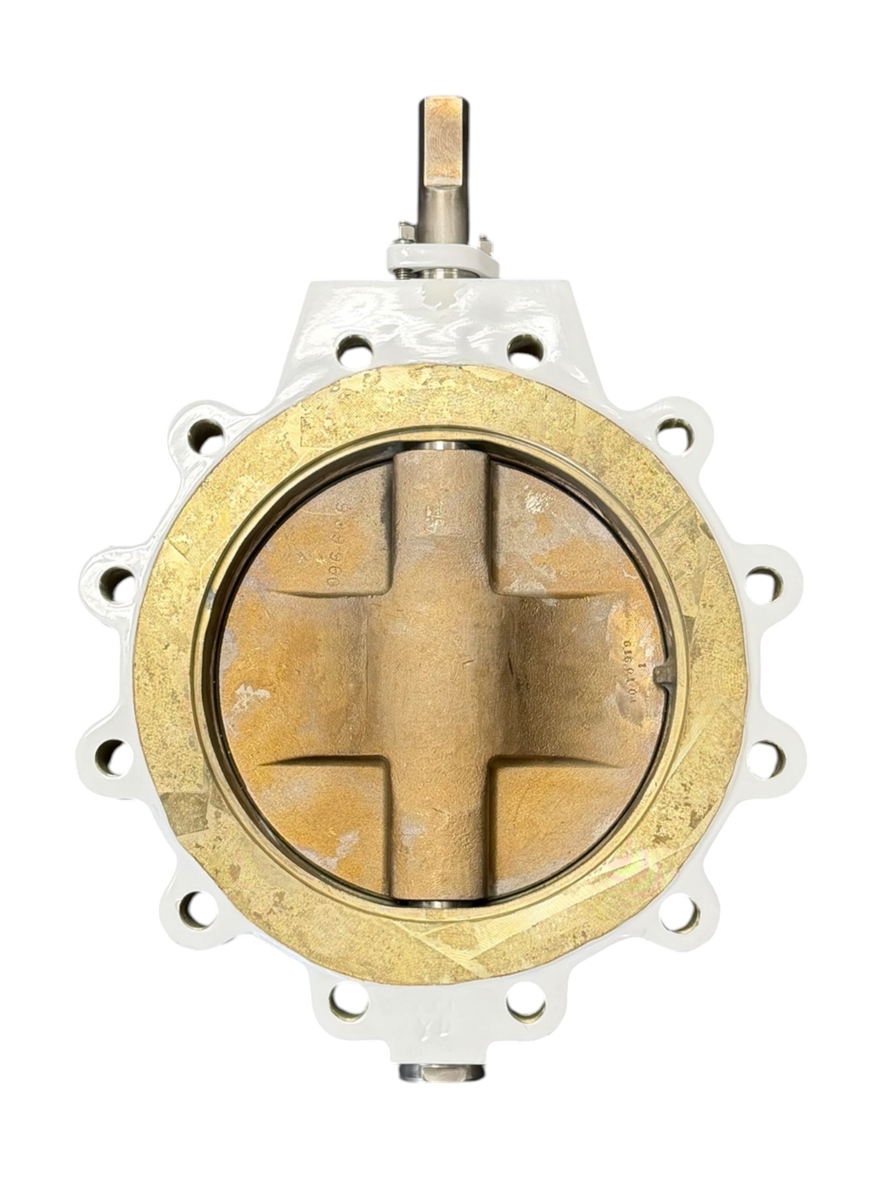 bray-series-41-mccannalok-high-perf-butterfly-valve-10-dn-250-asme-class-150-brandon-y-20260722-140353-97906