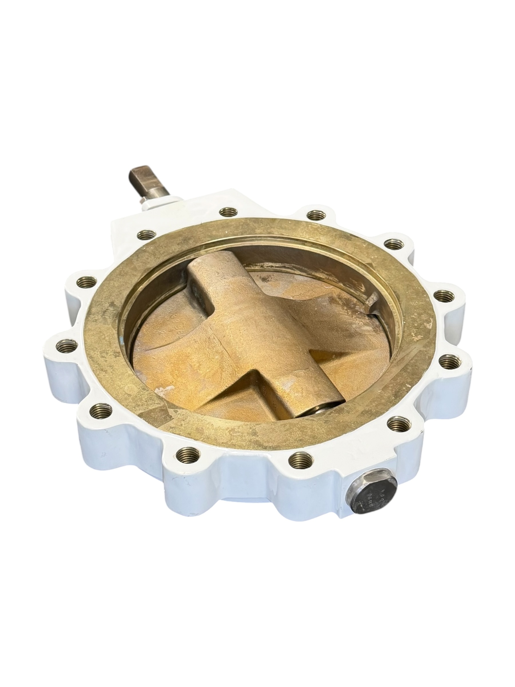 bray-series-41-mccannalok-high-perf-butterfly-valve-10-dn-250-asme-class-150-brandon-y-20260722-140355-39675
